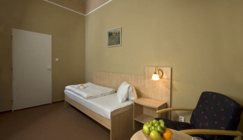 Lázeňský hotel Metropol Spa & Kurhotel Františkovy Lázně - Standard 1/1